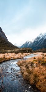 Rivers,Mountains,Snow,Bush,Snow Covered,Snowbound,Nature