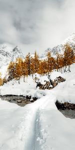 Nature,Neige,Rivières,Hiver,Arbres,Montagnes,Paysage