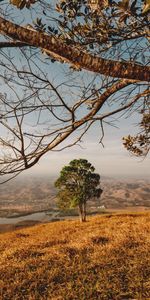 Rivers,Mountains,Wood,Tree,Landscape,Nature