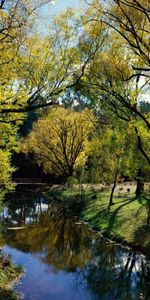 Nature,Parc,Le Parc,Arbres,Rivières,Se Reposer,Relaxation,Australie,Automne