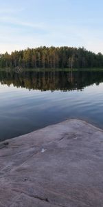 Ríos,Reflexión,Bosque,Abeto,Piedra,Una Roca,Naturaleza