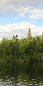 Rivers,Sky,Summer,Shore,Bank,Greens,Nature,Water,Forest