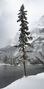 Naturaleza,Ríos,Árboles,Montaña,Nieve,Paisaje