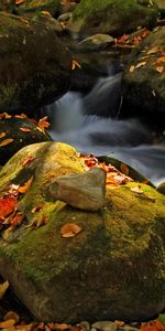 Automne,Nature,Rivières,Noyaux,Paysage