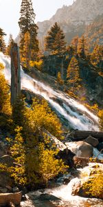 Rivers,Stones,Mountain,Stream,Nature,Trees,Flow