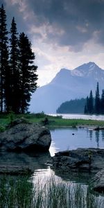 Rivers,Stones,Tree,Nature,Wood