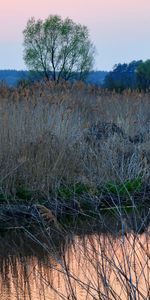 Rivers,Sunset,Grass,Landscape