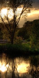 Arbres,Rivières,Paysage,Coucher De Soleil