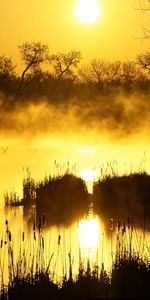 Rivières,Paysage,Sun,Coucher De Soleil