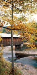 Rivers,Trees,Autumn,Bridge,Waterville,Vermont,Nature