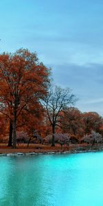 Arbres,Rivières,Paysage,Automne