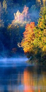 Arbres,Rivières,Paysage,Automne