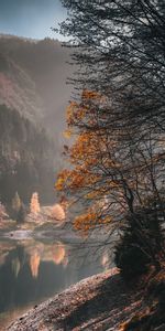 Rivers,Trees,Autumn,Miscellanea,Miscellaneous,Human,Person,Loneliness,Freedom