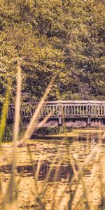 Rivers,Trees,Blur,Smooth,Bridge,Nature