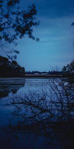 Rivers,Trees,Branches,Evening,Nature