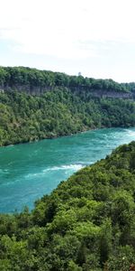 Rivers,Trees,Bush,Branches,Nature