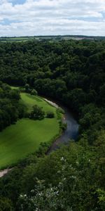 Rivers,Trees,Bush,Winding,Nature,Sinuous