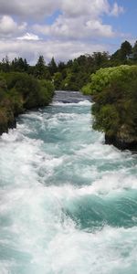 Naturaleza,Ríos,Árboles,Nueva Zelanda,Flujo,Fluir