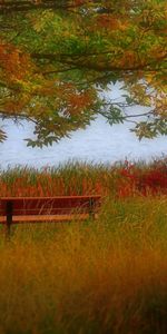 Rivers,Trees,Grass,Autumn,Landscape