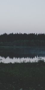 Rivers,Trees,Grass,Evening,Dark,Field