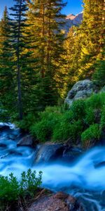 Rivers,Trees,Grass,Stones,Twilight,Dusk,Evening,Stream,Gurgling,Murmur,Nature,Flow