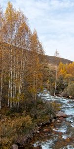 Rivers,Trees,Hill,Nature,Landscape