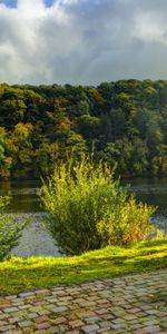 Rivers,Trees,Landscape