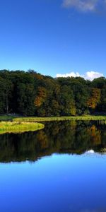 Rivières,Paysage,Arbres