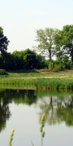 Rivers,Trees,Landscape