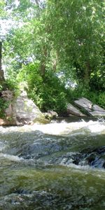 Paysage,Rivières,Arbres