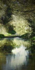 Rivers,Trees,Landscape