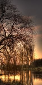 Rivers,Trees,Landscape