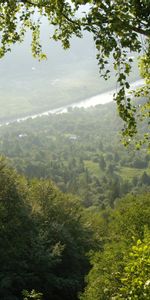 Paysage,Arbres,Rivières