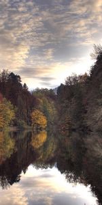 Arbres,Rivières,Paysage