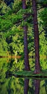 Rivers,Trees,Landscape