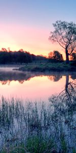 Rivers,Trees,Landscape