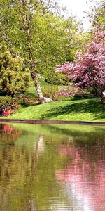 Rivers,Trees,Landscape