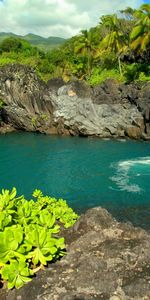 Rivers,Trees,Landscape