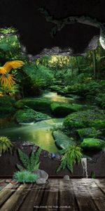 Rivers,Trees,Landscape,Parrots