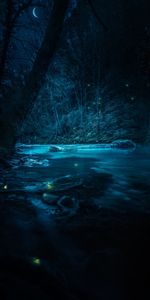 Rivers,Trees,Light,Shine,Stones,Nature,Night