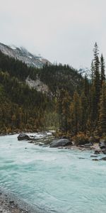 Rivers,Trees,Mountains,Forest,Slope,Nature,Stones