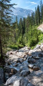 Rivers,Trees,Mountains,Slope,Nature,Stones