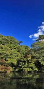 Rivers,Trees,Nature,Sky