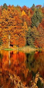 Rivers,Trees,Reflection,Nature,Autumn