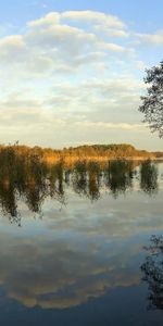 Réflexion,Jour,Rivage,Nature,Arbres,Les Rives,Rivières