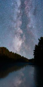 Réflexion,Nature,Arbres,Rivières,Ciel Étoilé,Nuit