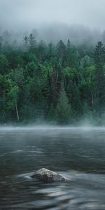 Rivers,Trees,Rock,Fog,Nature,Forest,Stone