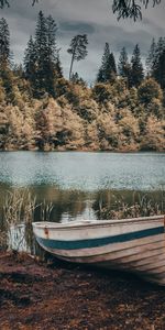 Rivers,Trees,Shore,Bank,Miscellanea,Miscellaneous,Boat