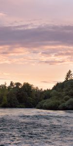 Rivers,Trees,Shore,Bank,Nature,Water