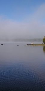 Rivers,Trees,Shore,Bank,Ripple,Ripples,Fog,Nature